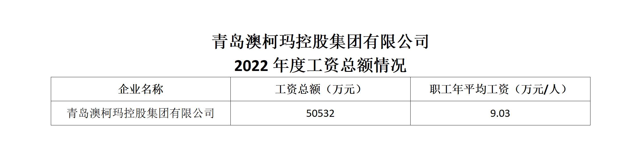 青島澳柯瑪控股集團有限公司2022年度工資總額情況.jpg